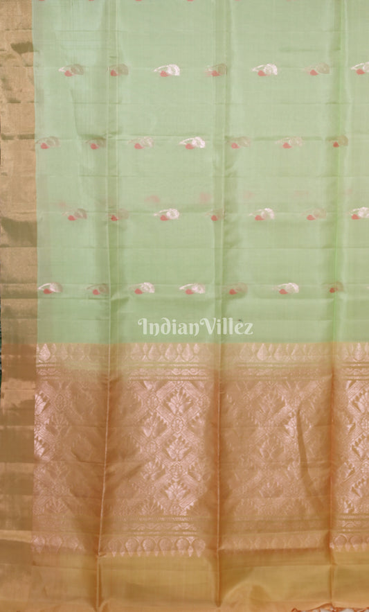 Sage Green with Golden Pure Kanjivaram Soft Silk Saree