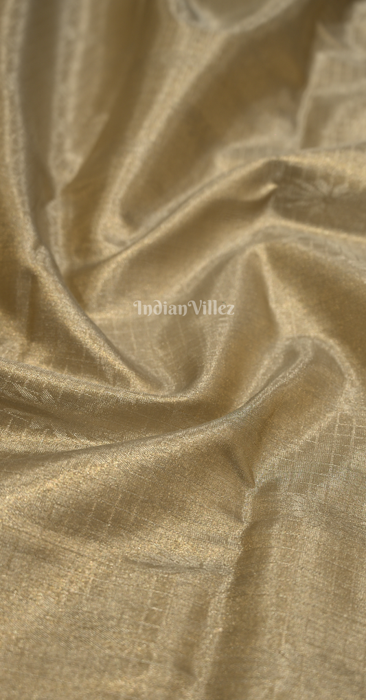 Pastel Silver Pure Kanjivaram Tissue Silk Saree