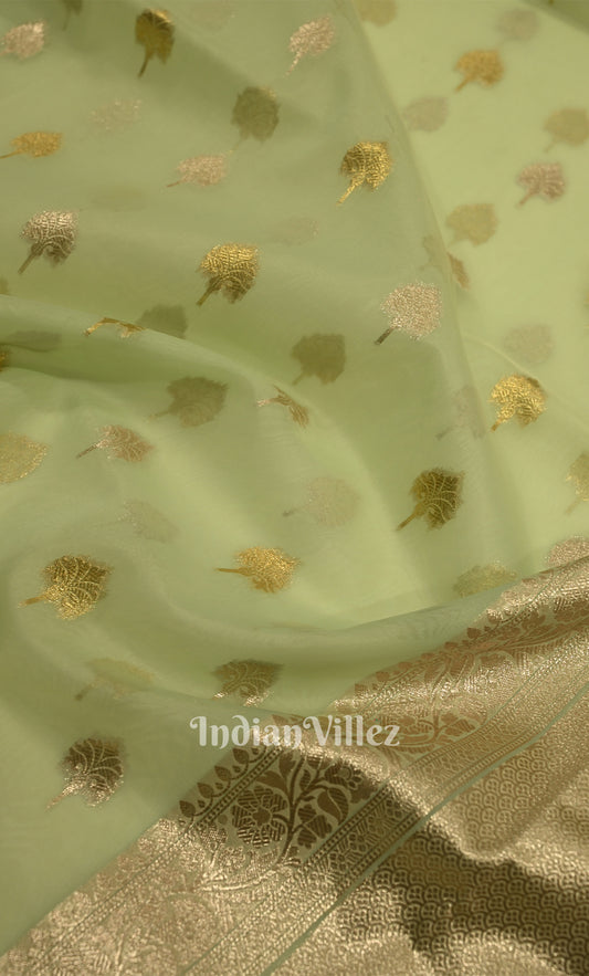 Mint Green Chanderi Silk Banarasi Saree