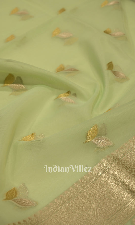 Pastel Green Leaf Motif Chanderi Silk Banarasi Saree