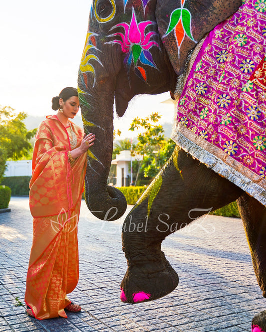 Orange Royal Jacquard Tissue Banarasi Self Weaving with all over body work