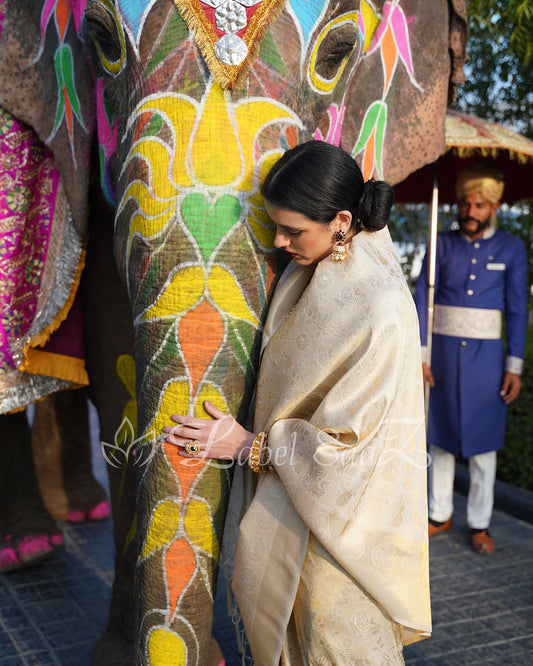 Off White Royal Jacquard Tissue Banarasi Self Weaving with all over body work