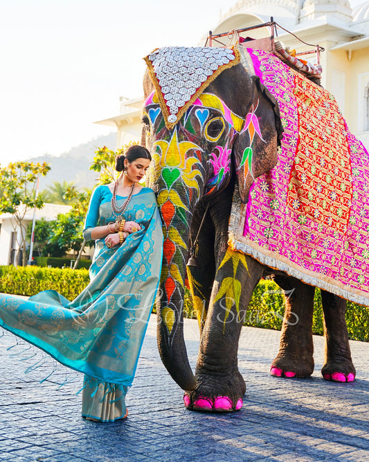 Sky Blue Royal Jacquard Tissue Banarasi Self Weaving with all over body work