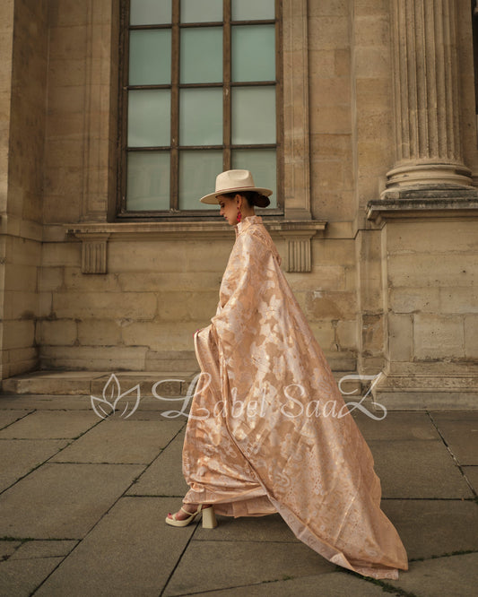 Beige And Brown Handwoven Pure Organza Silk Chikankaro Saree