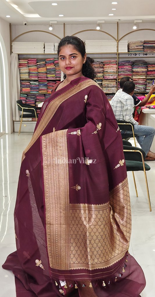 Coffee Golden Pure Kora Organza Banarasi Silk saree