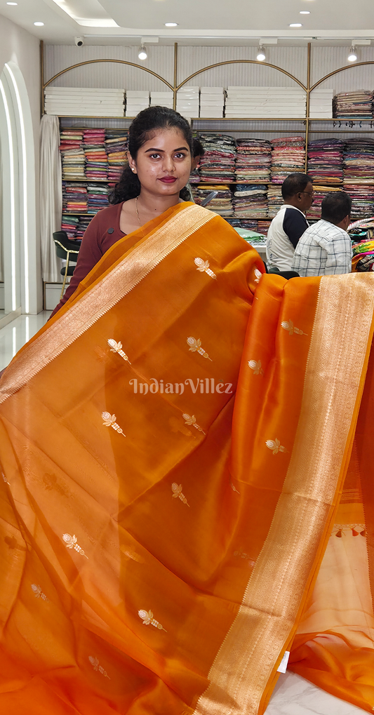 Orange Golden Pure Kora Organza Banarasi Silk saree