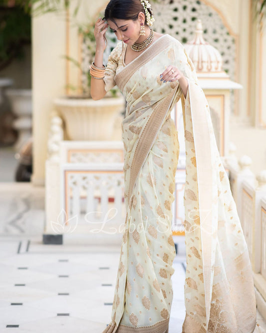 White Handwoven Georgette Banarasi Saree