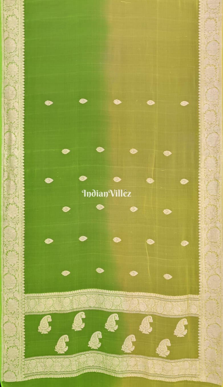 Green Lemon Yellow Khaddi Chiffon Banarasi Handloom Saree