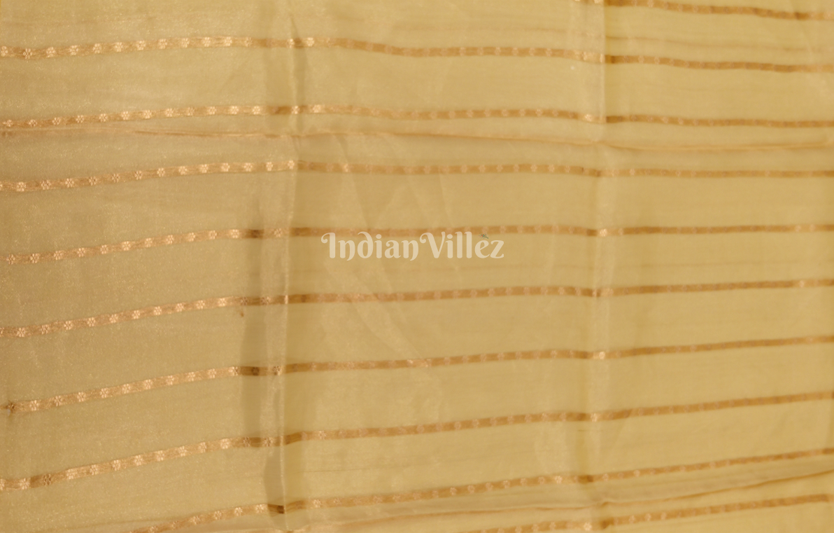 Brick Red Pure Kora Banarasi Tissue Saree with Suna Rupa Work
