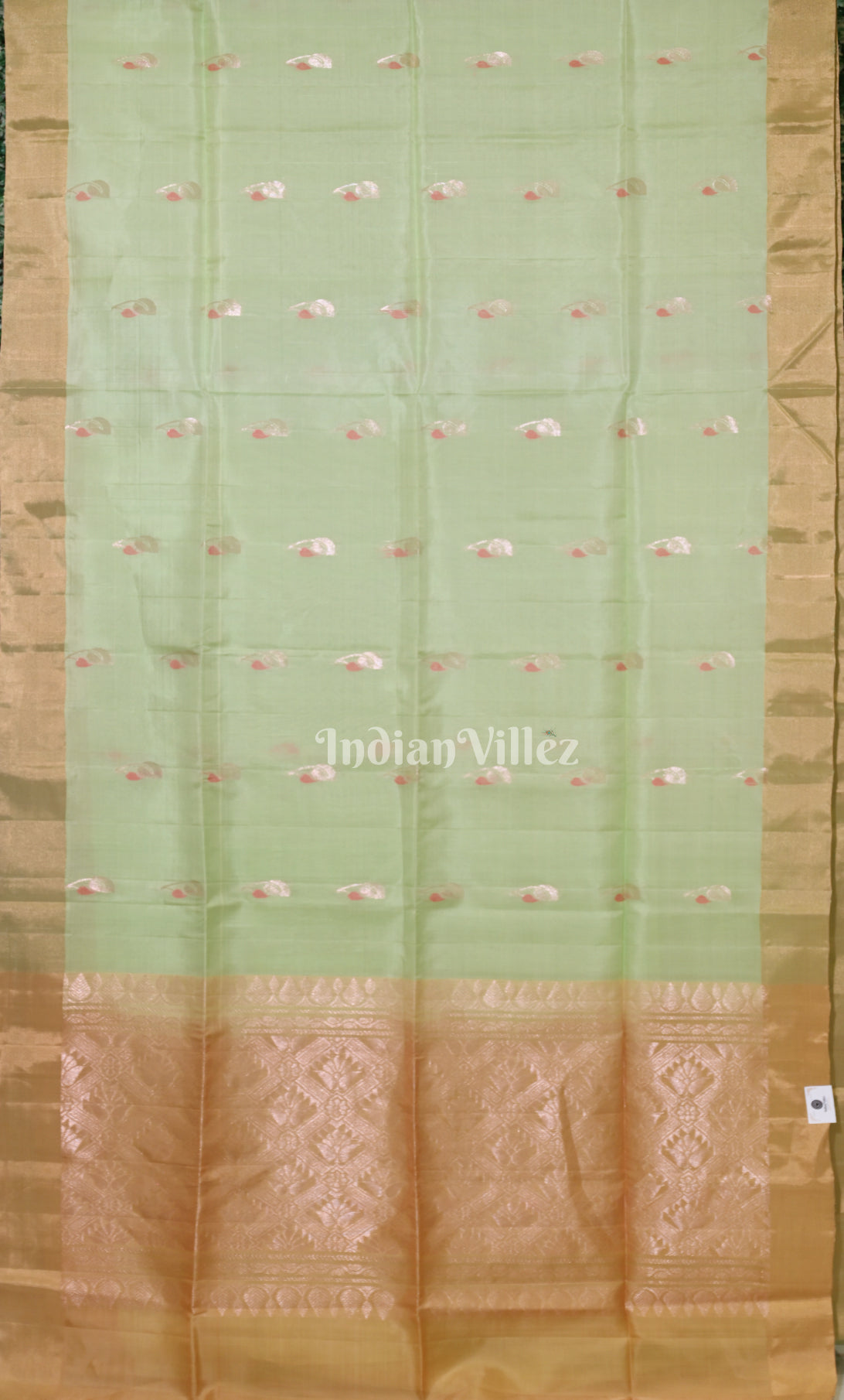 Sage Green with Golden Pure Kanjivaram Soft Silk Saree 