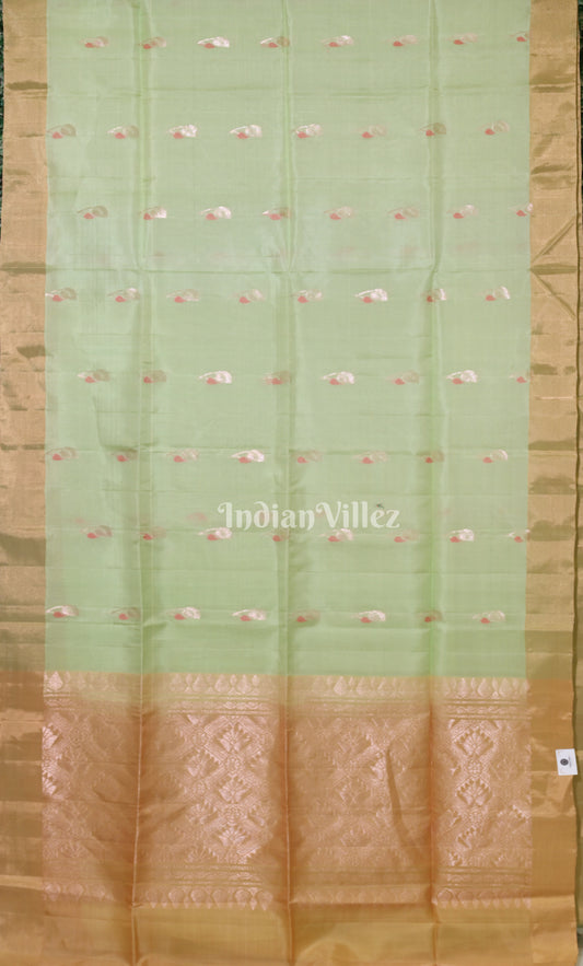 Sage Green with Golden Pure Kanjivaram Soft Silk Saree 