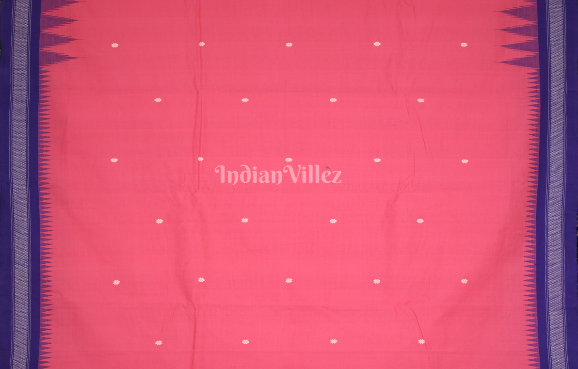 Pink Blue Border Ganjam Bomkai Cotton Saree 