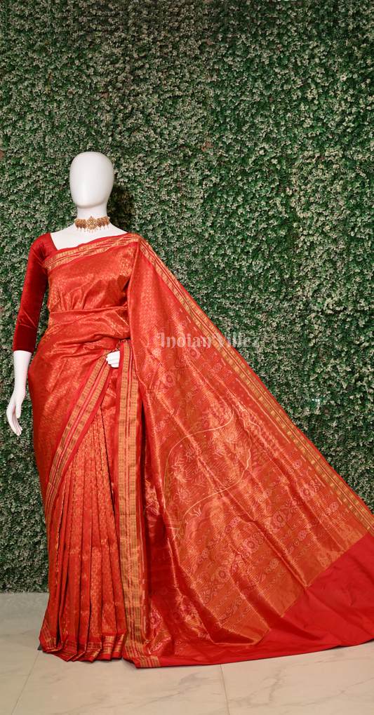Exclusive Bridal Red Tissue Sambalpuri Silk Saree with Peacock Anchal