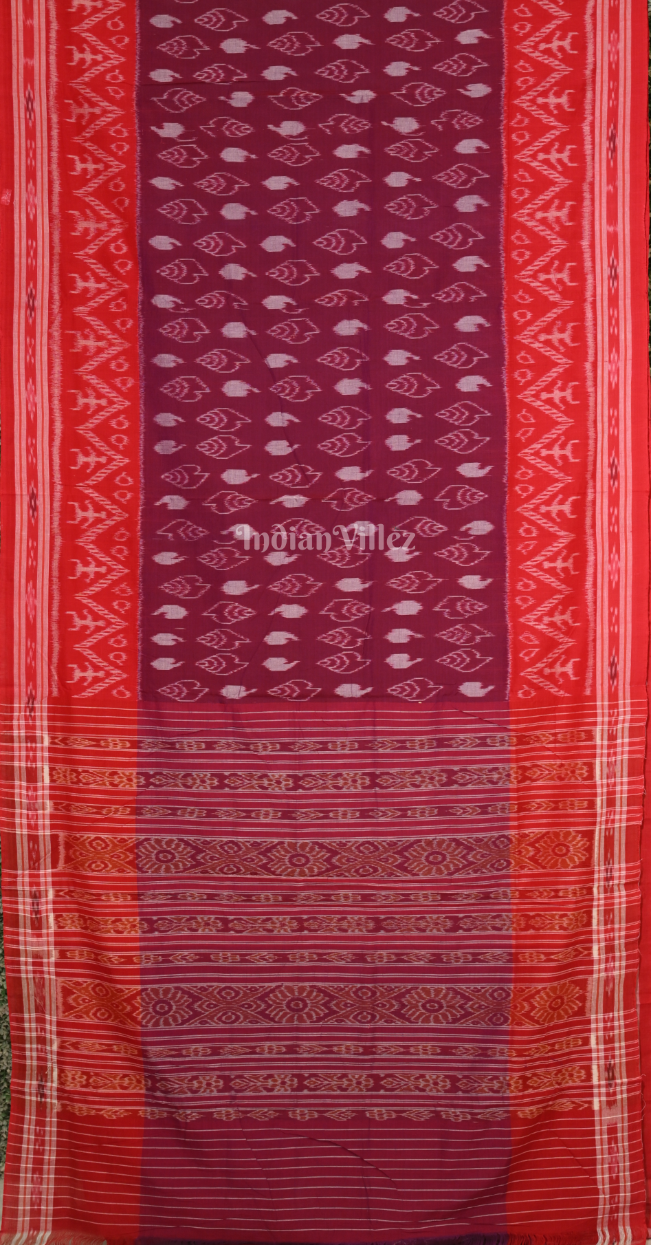Wine Sankha Motif Odisha Ikat Sambalpuri Pure Cotton Saree