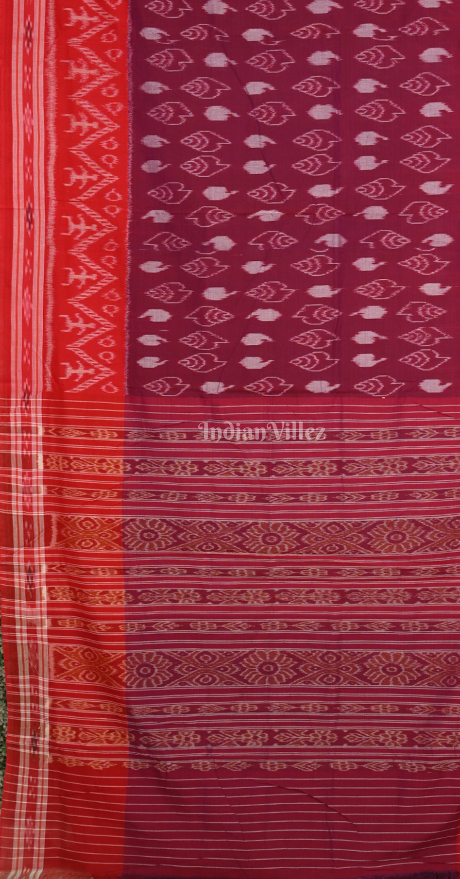 Wine Sankha Motif Odisha Ikat Sambalpuri Pure Cotton Saree