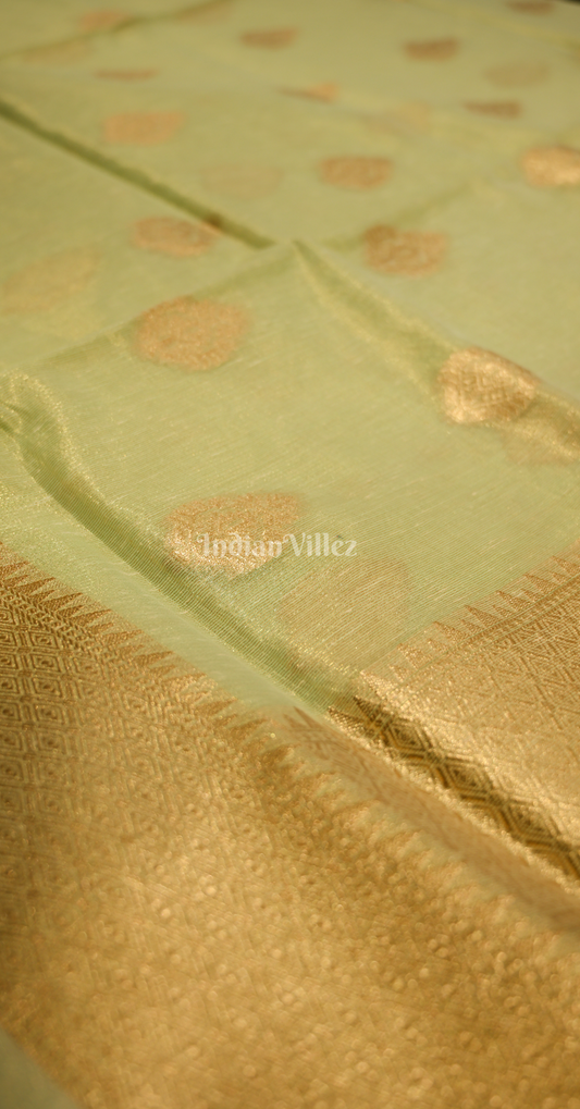 Kiwi Green Kora Tissue Saree With Paithani Pallu