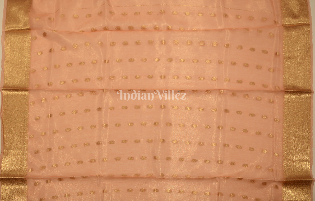 Melon Peach Kora Tissue Saree With Paithani Pallu