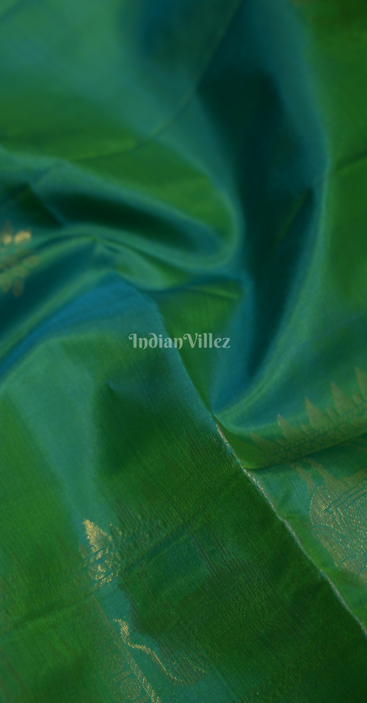 Sea Green Golden Zari Pure Kanjivaram Soft Silk Saree
