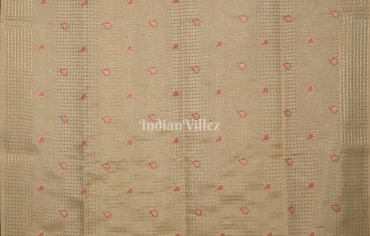 Beige Tussar Silk Saree with Floral Embroidery Work