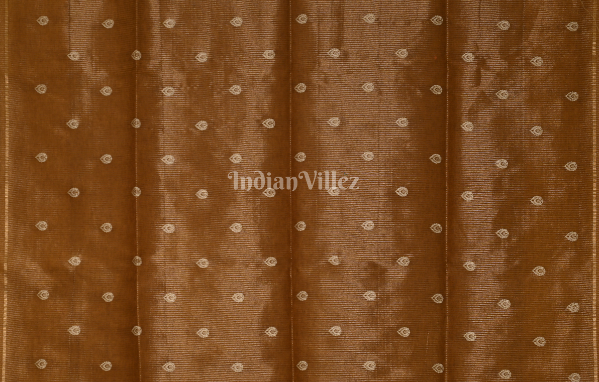 Brown Tussar Silk Saree with Floral Bird Embroidery Work