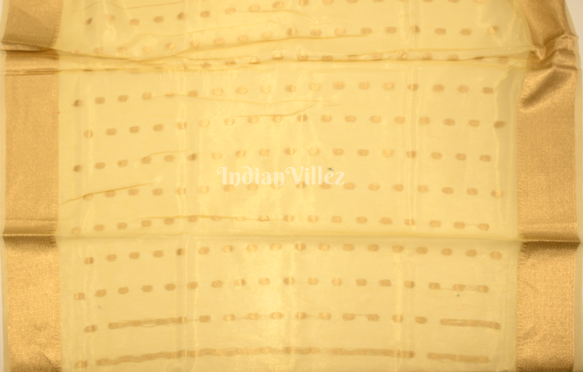 Yellow Golden Kora Silk Tissue Saree With Paithani Pallu