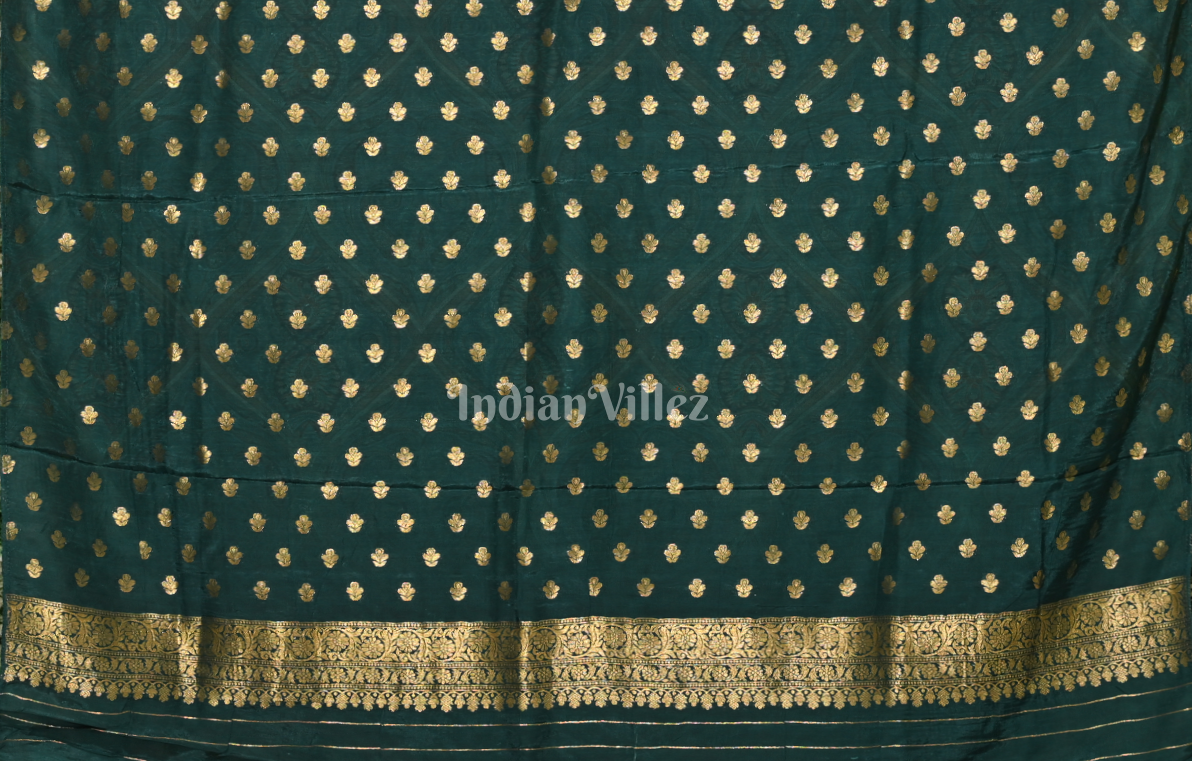Green Banarasi Silk Saree with Kashmiri Embroidery Work