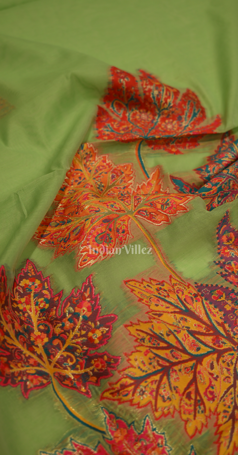 Parrot Green Tree of Life Pure Kashmiri Cotton Pashmina Saree