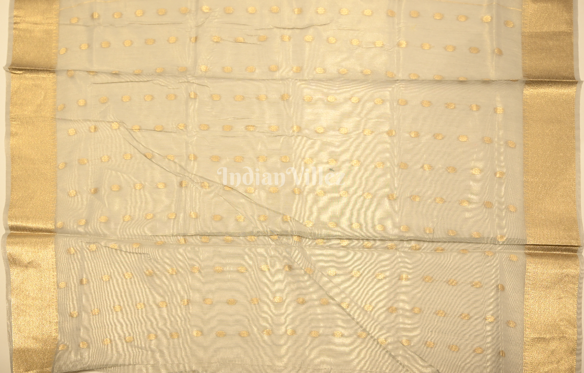 Grey Linen Tissue Kora Silk Saree With Paithani Pallu