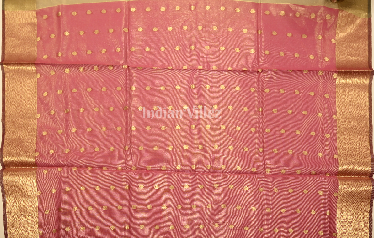 Light Gray Paithani Zari Tissue Silk Saree