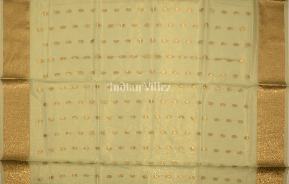 Kiwi Green Kora Tissue Saree With Paithani Pallu