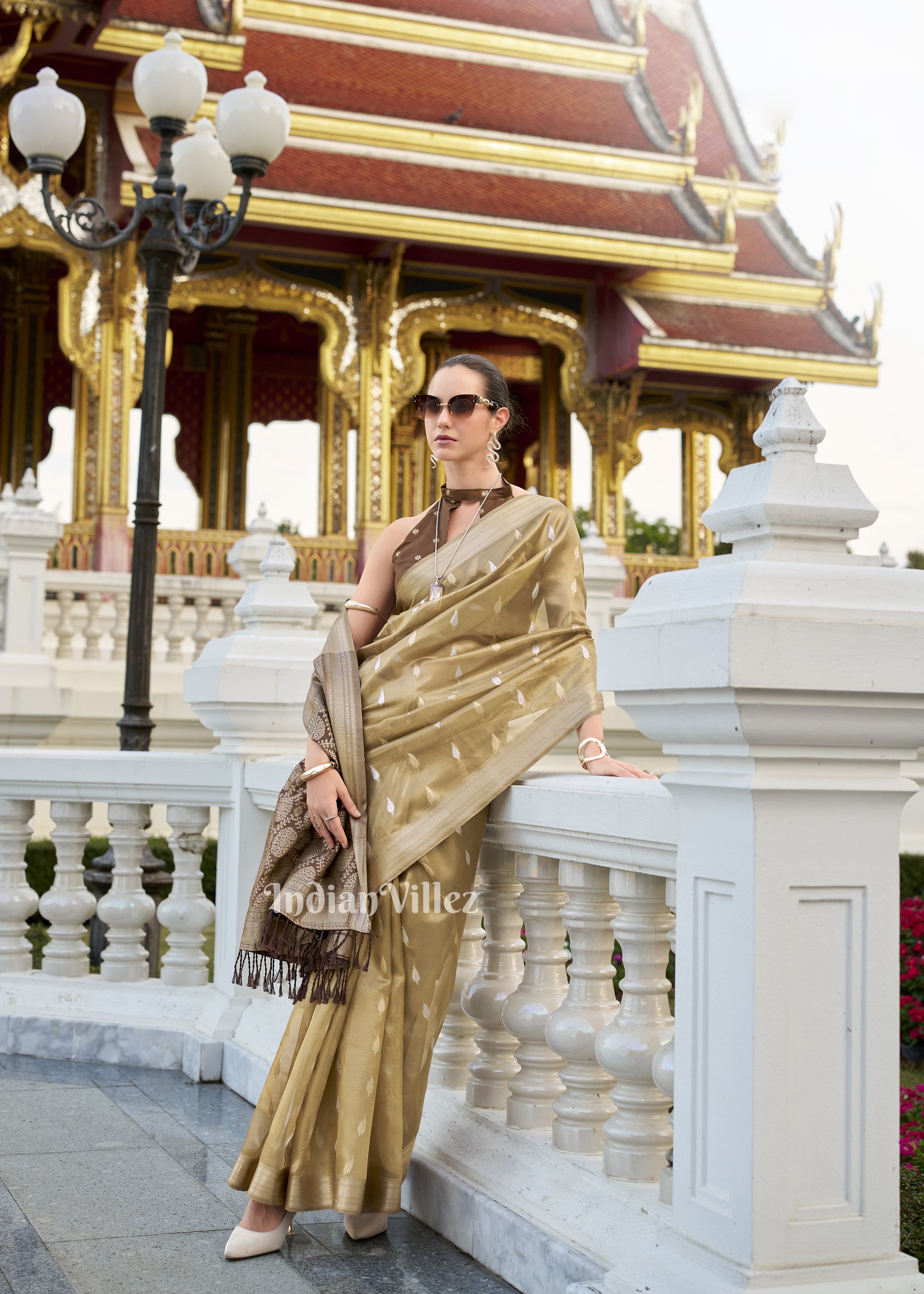 Golden Brown Zari Tissue Silk Saree