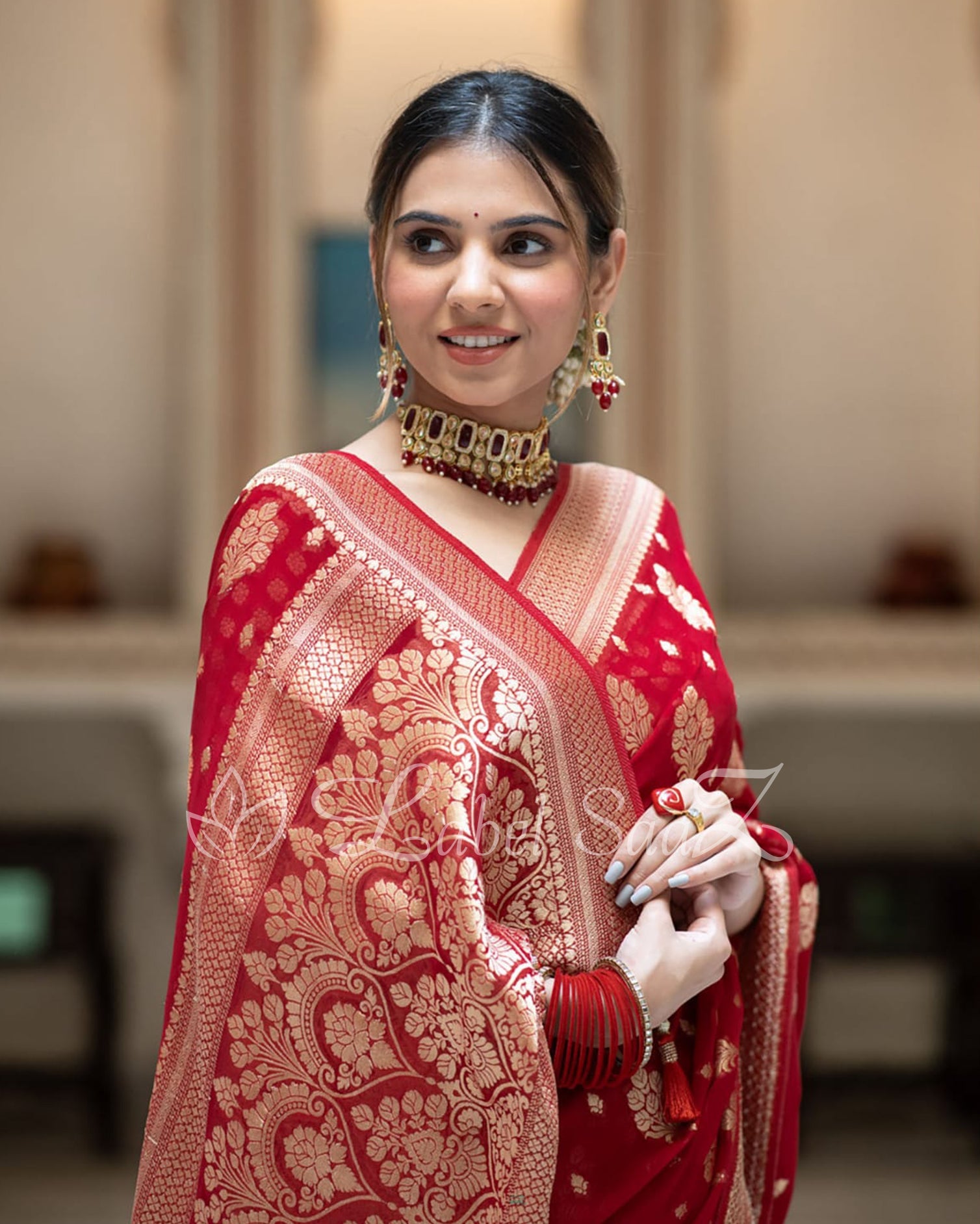 Red Handwoven Georgette Banarasi Saree