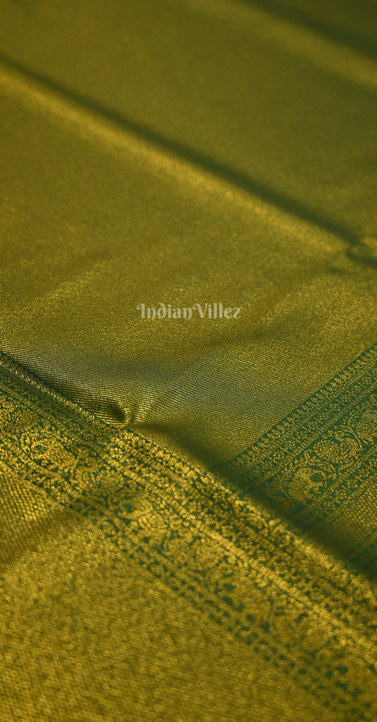 Olive Green Golden Kanjivaram Silk Saree with Brocade Pallu 