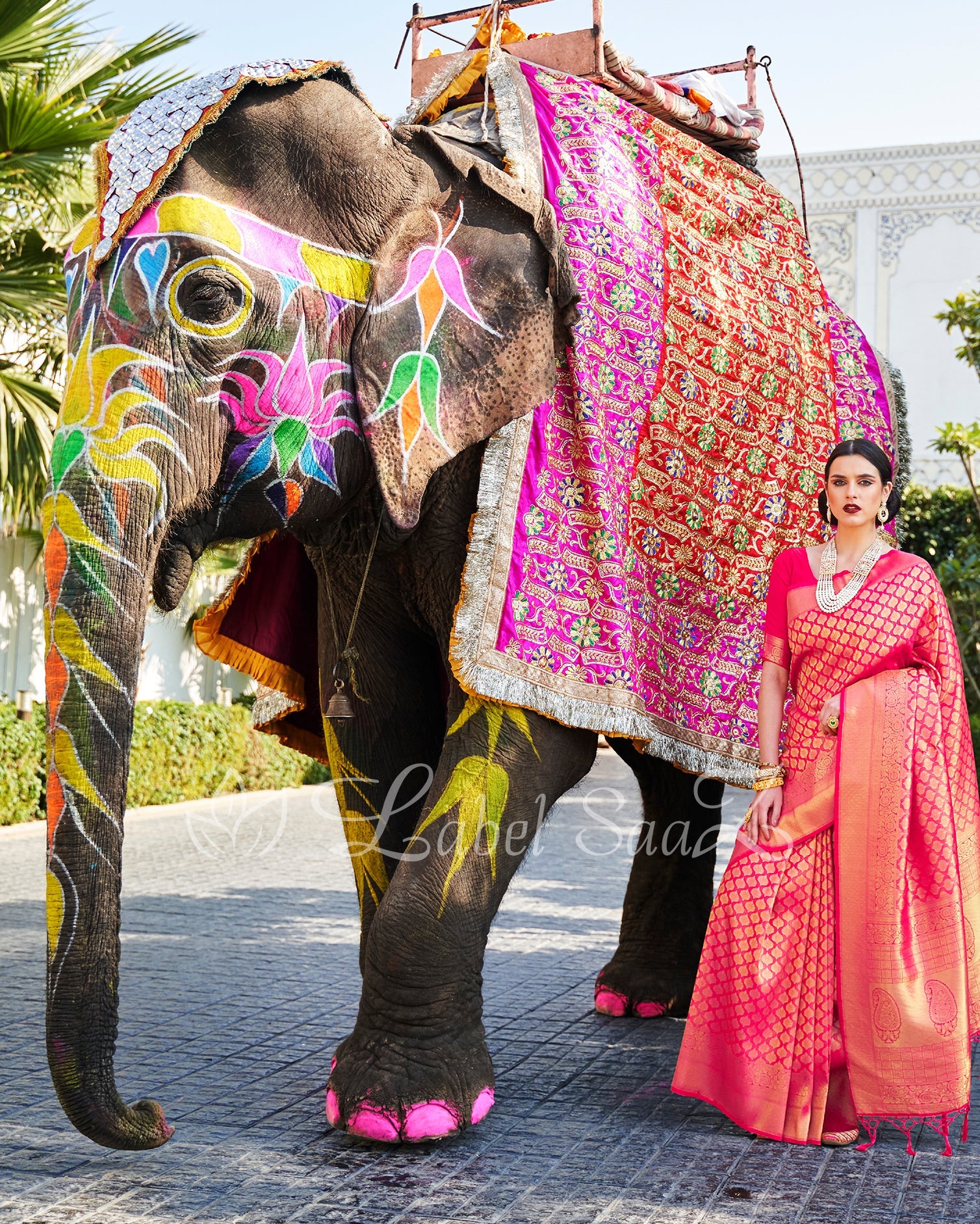 Chery Red Royal Jacquard Tissue Banarasi Self Weaving with all over body work