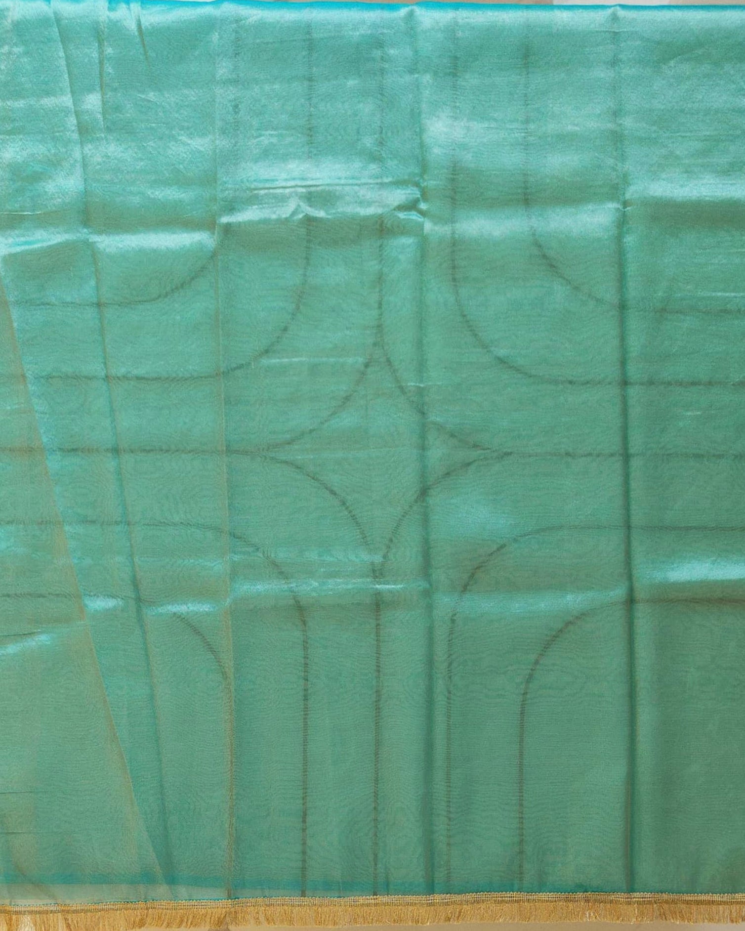Sky Blue Banarasi Tissue Saree