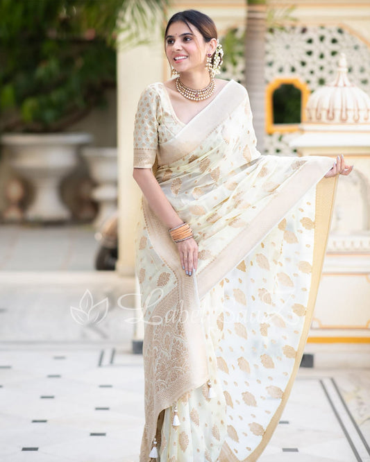White Handwoven Georgette Banarasi Saree