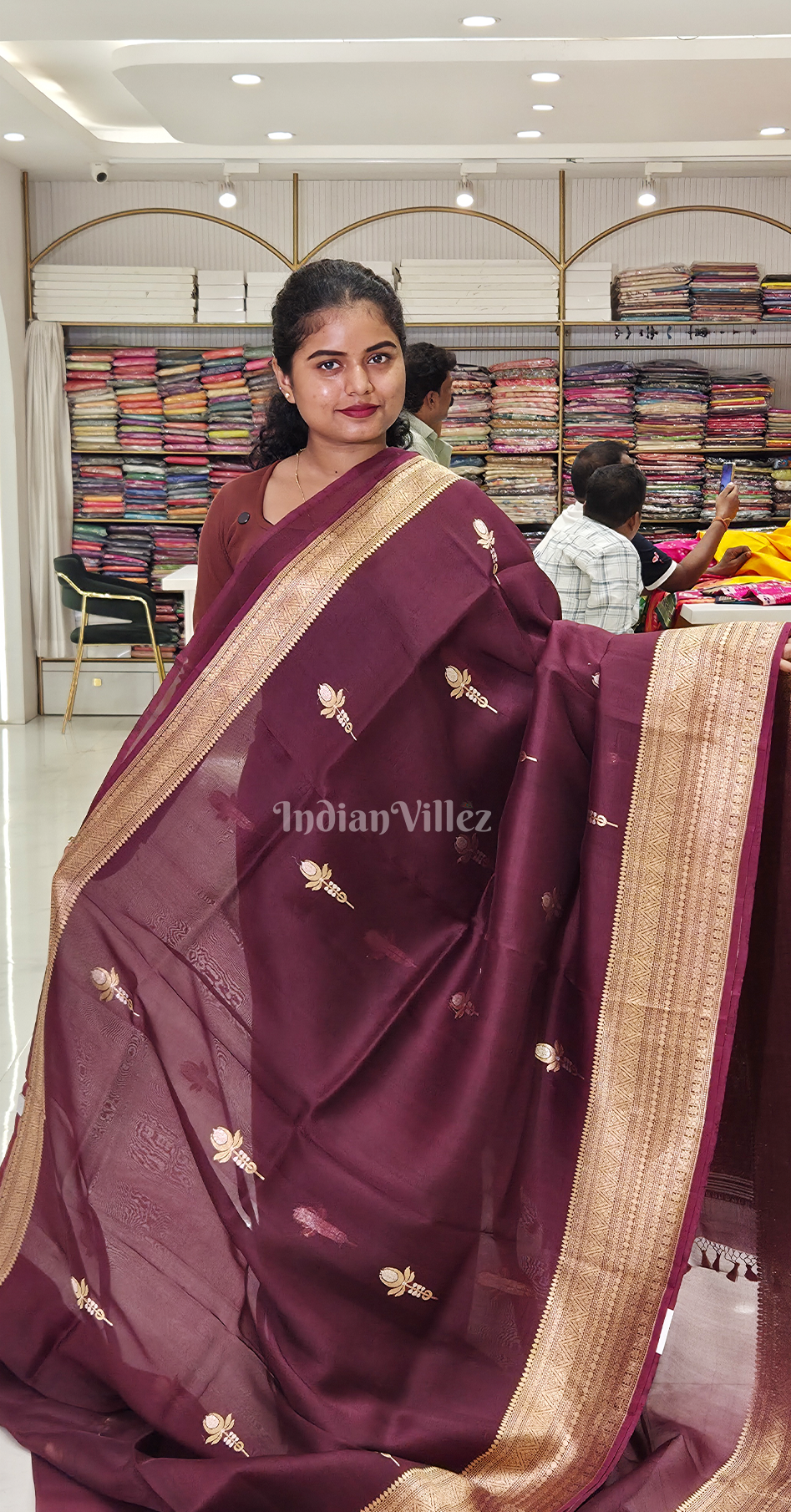 Coffee Golden Pure Kora Organza Banarasi Silk saree