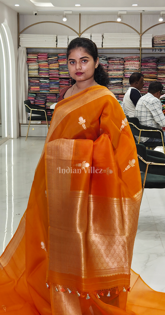 Orange Golden Pure Kora Organza Banarasi Silk saree