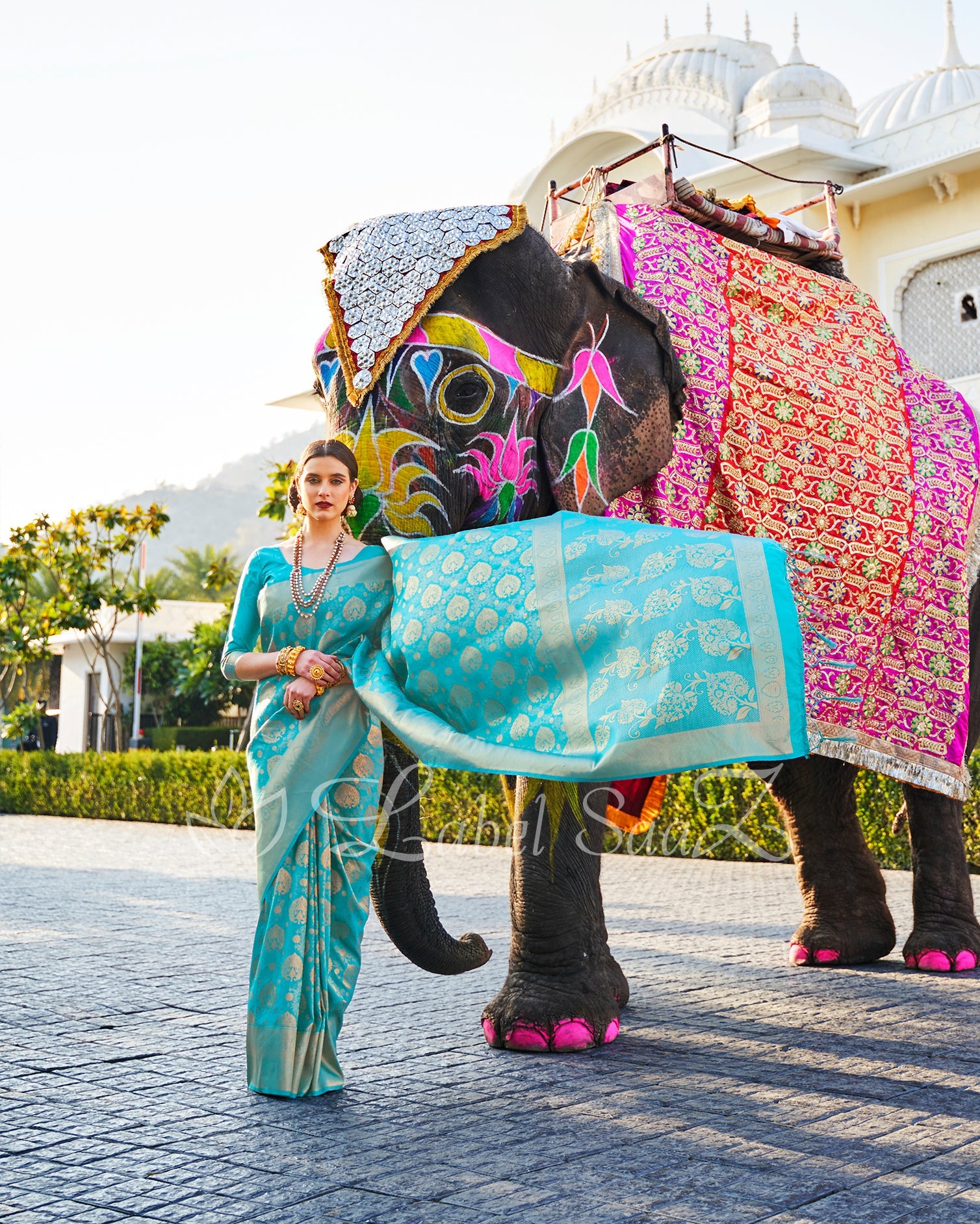 Sky Blue Royal Jacquard Tissue Banarasi Self Weaving with all over body work