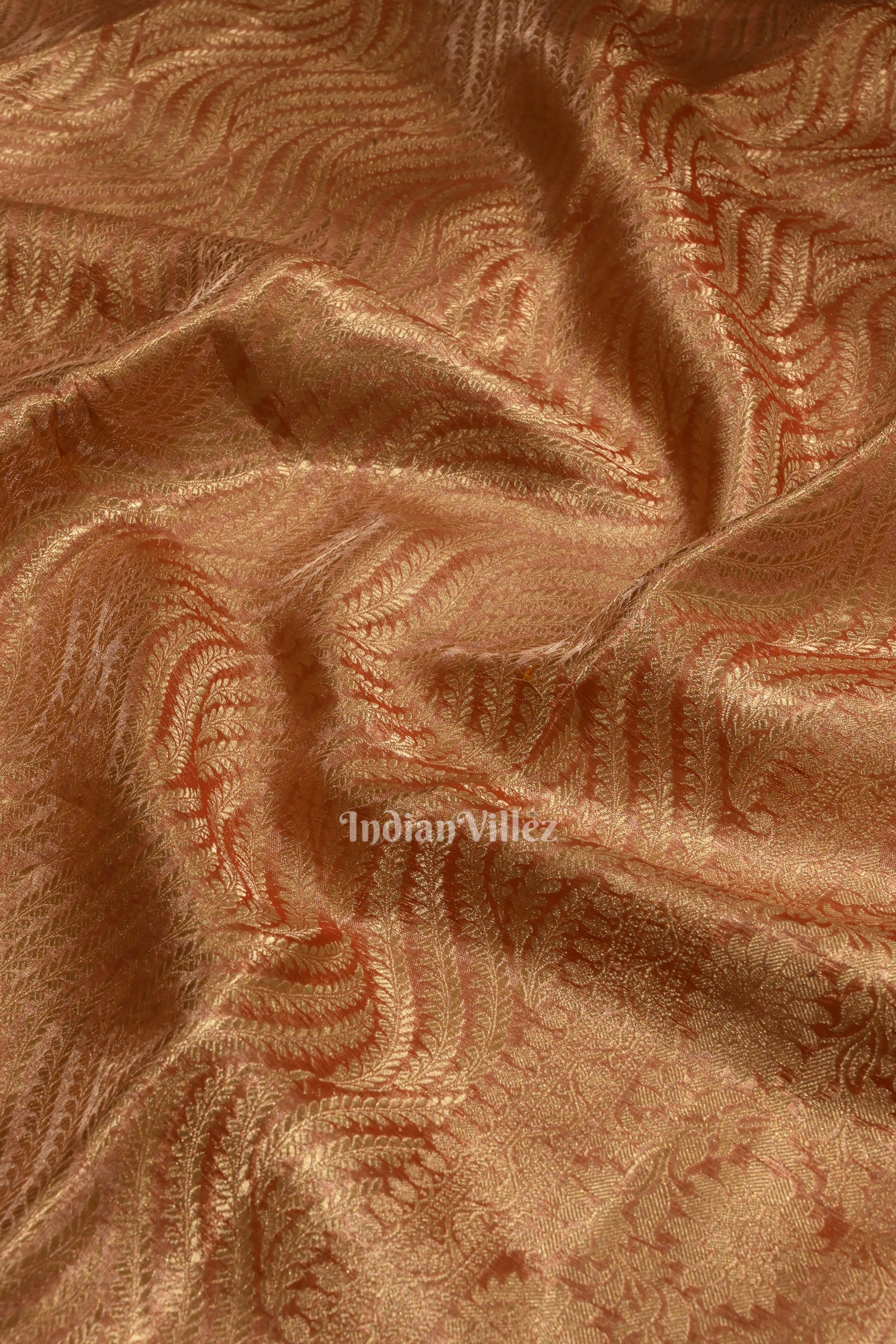Beige Red with Golden Brocade Tissue  Banarasi Saree