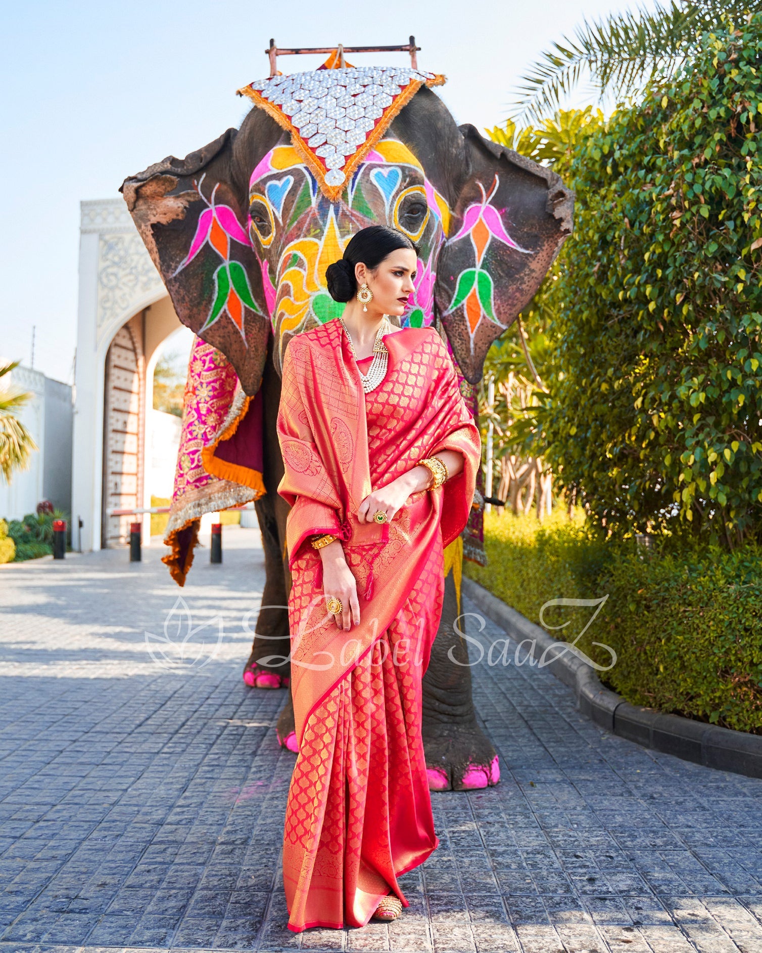 Chery Red Royal Jacquard Tissue Banarasi Self Weaving with all over body work