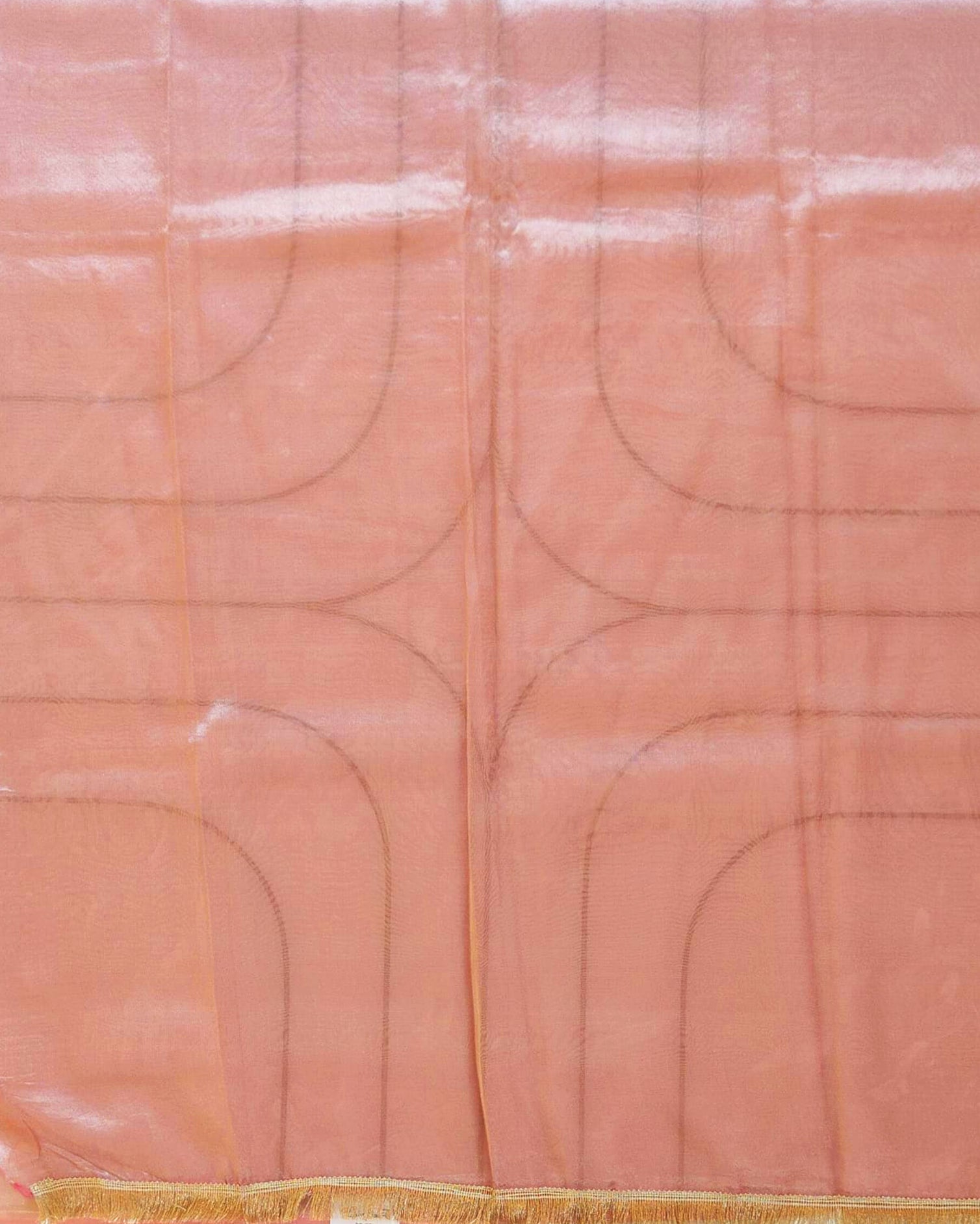 Pink Banarasi Tissue Saree
