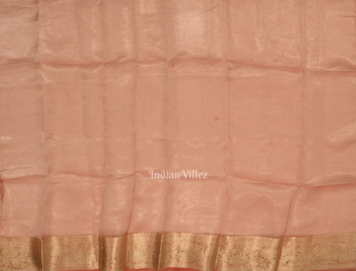 Beige Red with Golden Brocade Banarasi Tissue Saree