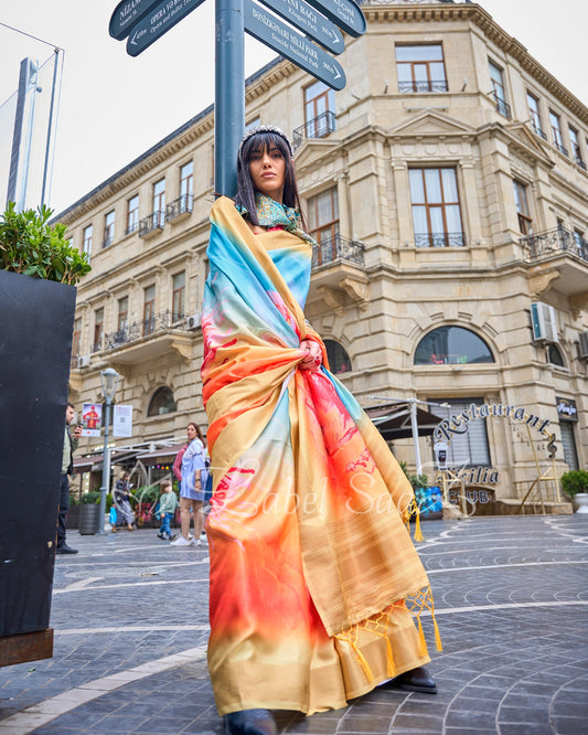 Big Multi Coloured Floral Soft Gaji Silk Handloom Weaving Saree