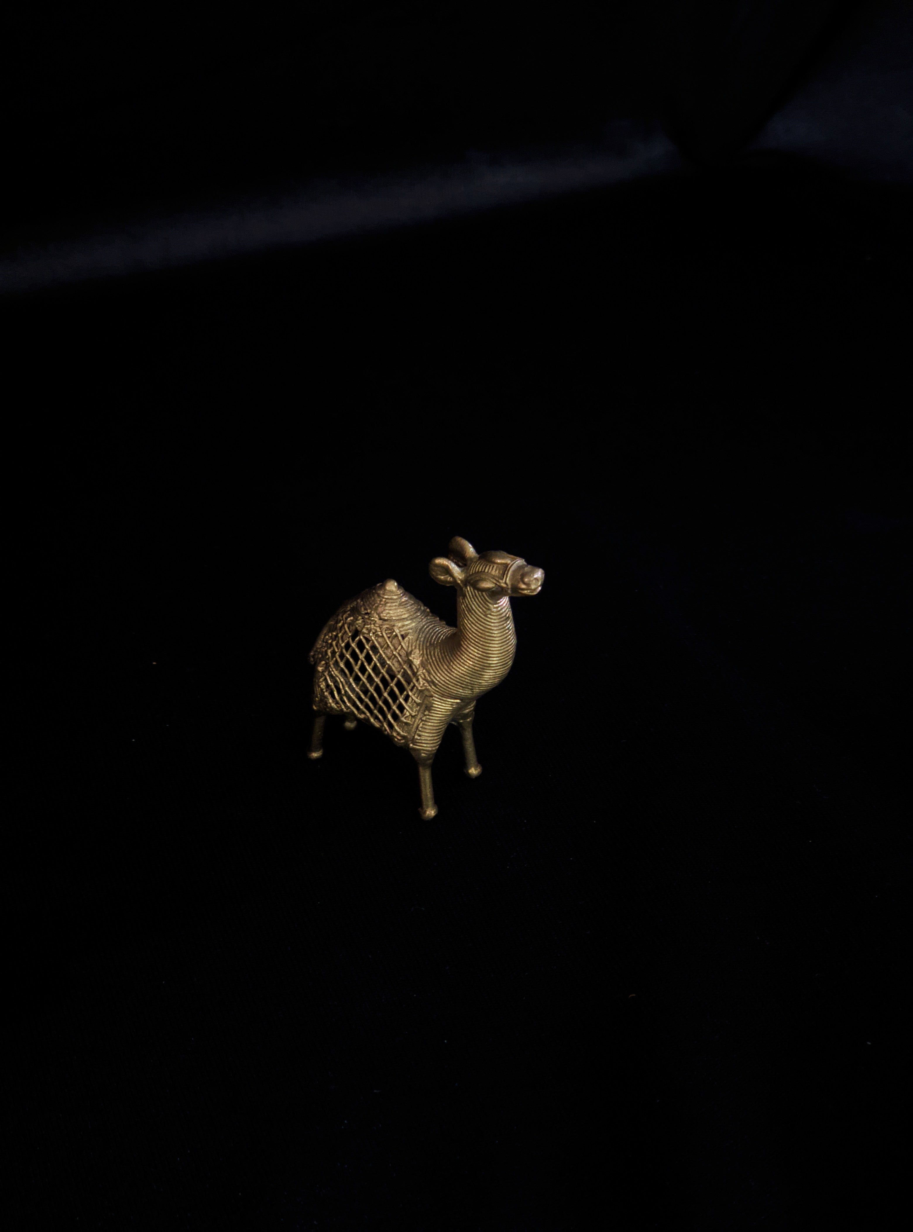 Dhokra - Camel