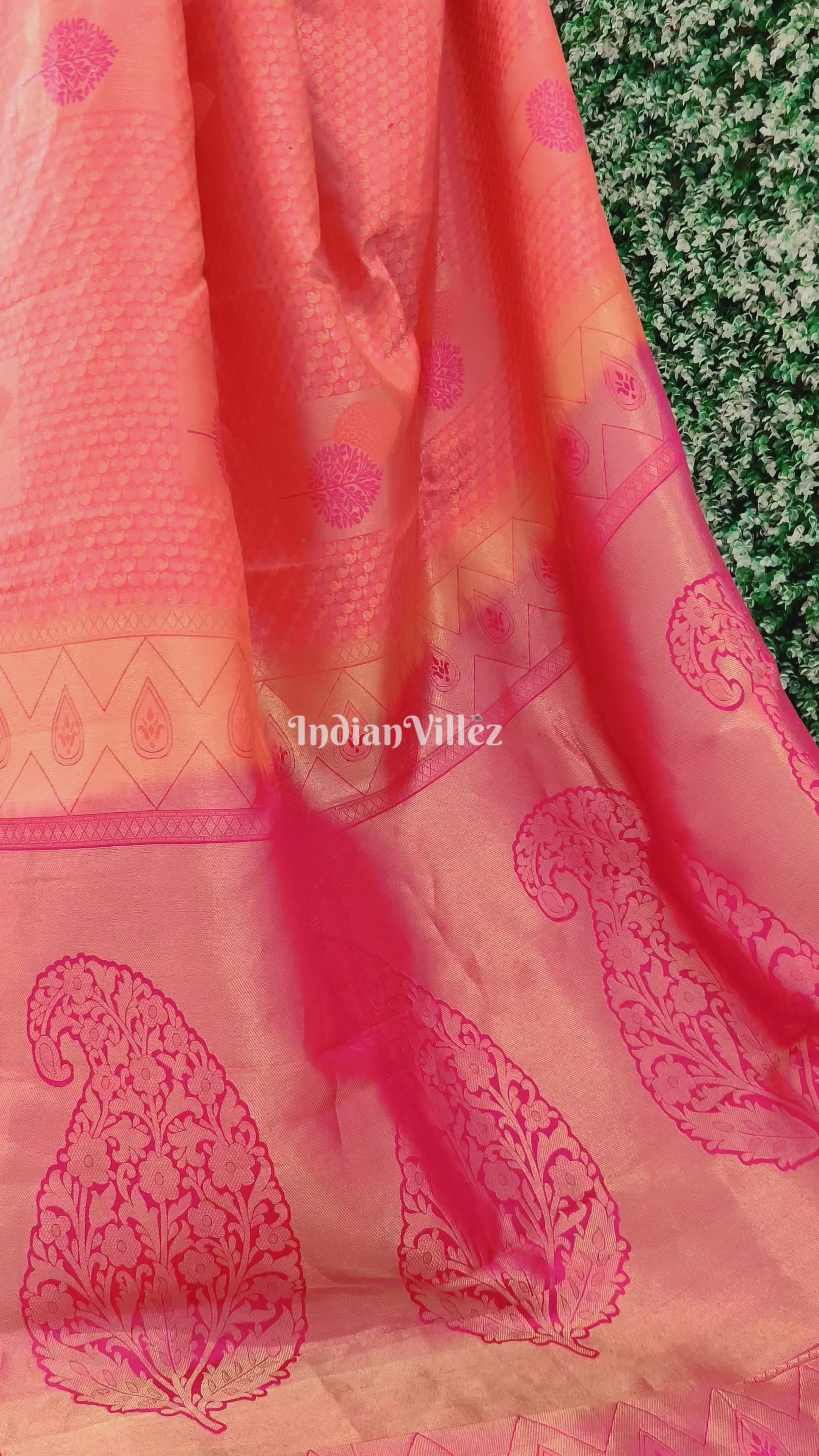 Pink Rani with Border Kanjivaram Silk Saree