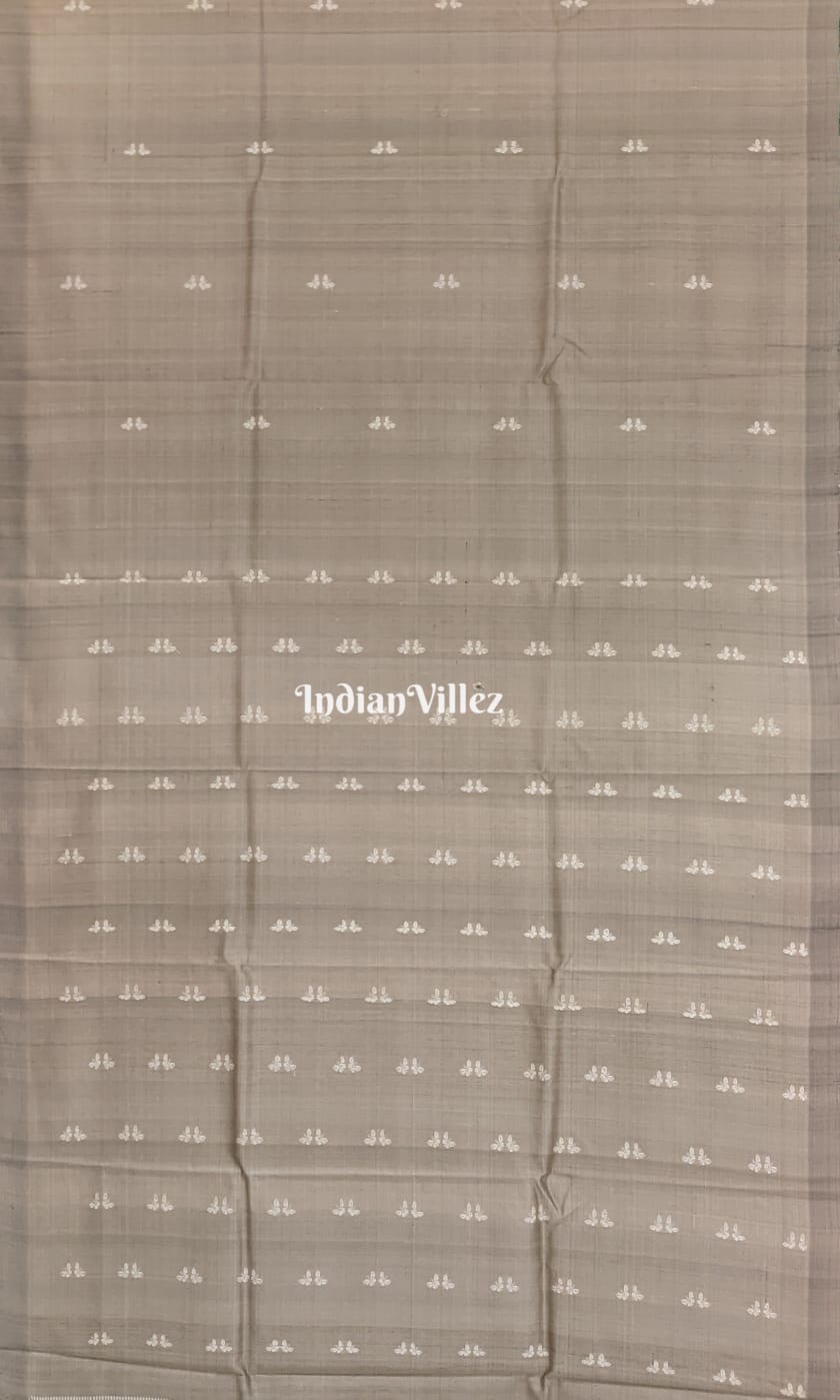 Grey Butterfly Design Gopalpur Tussar Silk Saree